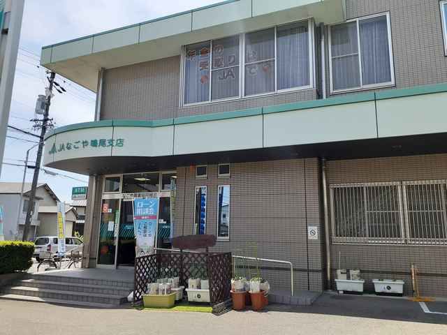 近くのなごや農協鳴尾支店まで263m（徒歩4分）