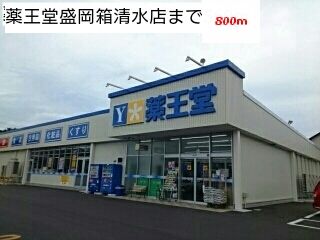 近くのドラッグストアまで800m（徒歩10分）