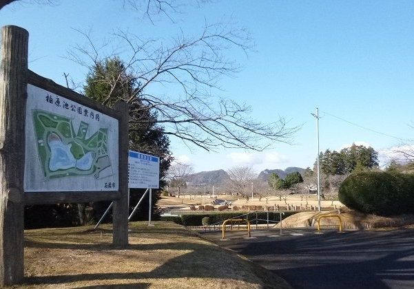 近くの柏原池公園まで1,300m（徒歩17分）