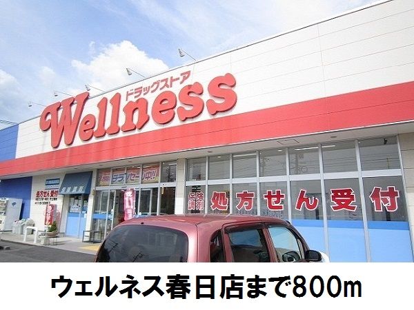 近くのウェルネスまで800m(徒歩10分)