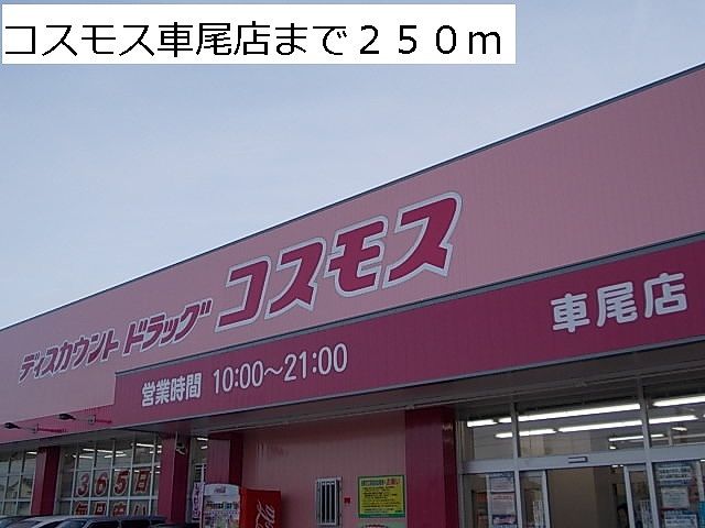 近くのコスモス車尾店まで250m(徒歩4分)