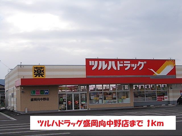 近くのツルハドラッグ盛岡向中野店まで1,000m（徒歩13分）