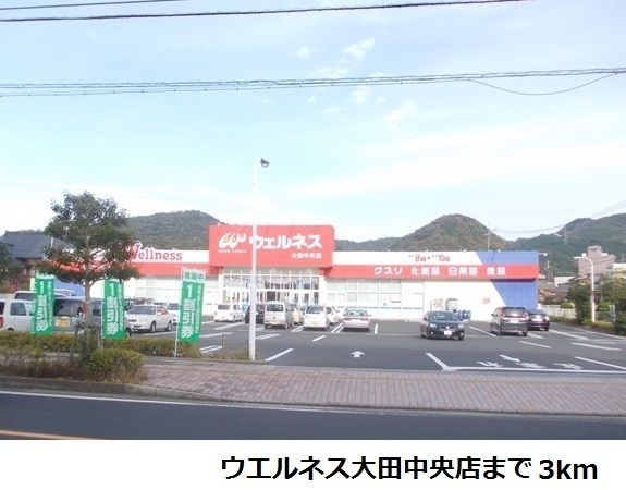 近くのウエルネス大田中央店まで3,000m（徒歩38分）