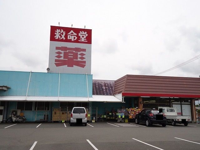 近くの救命堂川南店まで550m（徒歩7分）