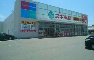 近くのスギ薬局竹谷店様まで550m（徒歩7分）