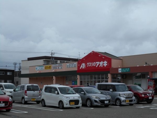 近くのクスリのアオキまで1,600m(徒歩20分)