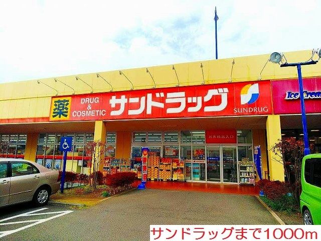 近くのサンドラッグまで1,000m（徒歩13分）