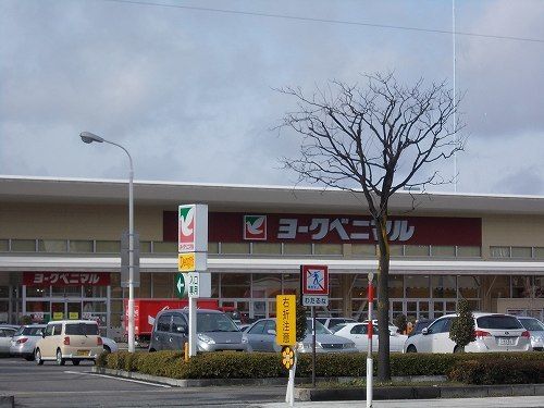 近くのヨークベニマル花春店まで650m(徒歩9分)