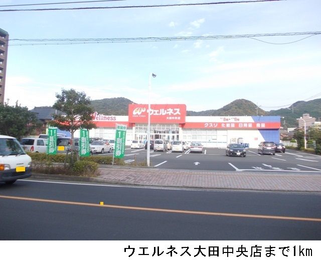近くのウエルネス大田中央店まで1,000m(徒歩13分)