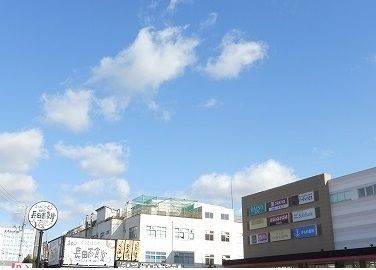 近くのマックスバリュ長田南店まで800m（徒歩10分）
