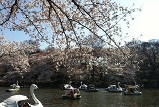 近くの井の頭公園まで2,200m(徒歩28分)