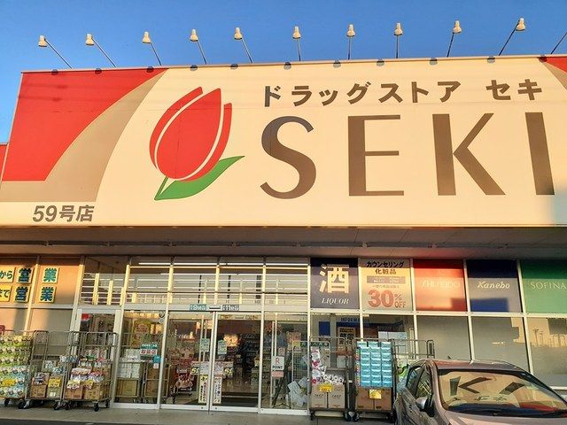 近くのドラッグストアまで796m（徒歩10分）