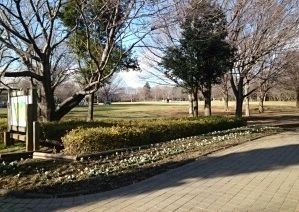 近くの青葉の森公園まで730m（徒歩10分）