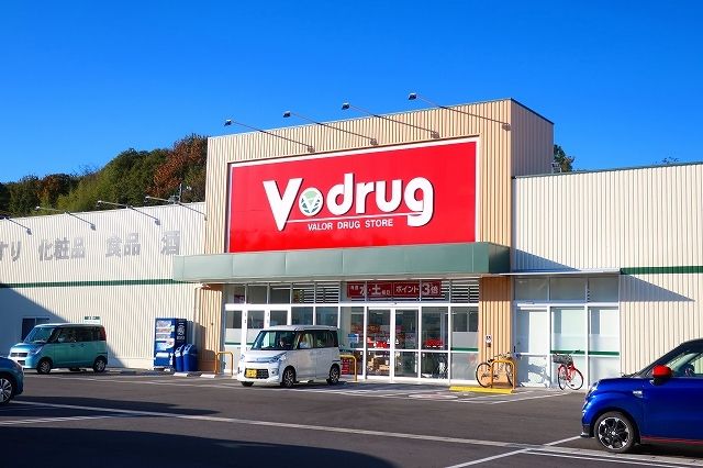 近くのVドラッグまで1,000m（徒歩13分）