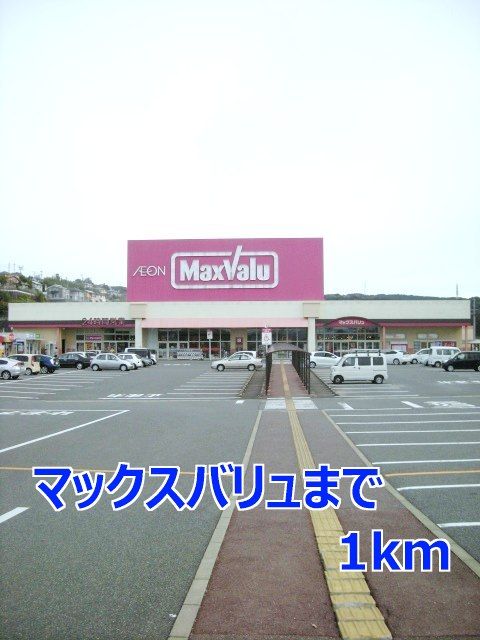 近くのマックスバリュまで1,000m（徒歩13分）