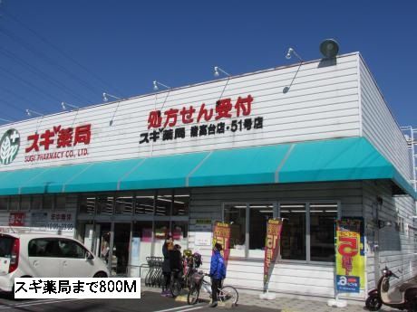 近くのスギ薬局まで800m(徒歩10分)