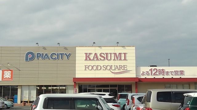 近くのカスミ宮代店まで1,100m(徒歩14分)