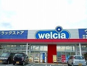 近くのドラッグストアまで600m（徒歩8分）