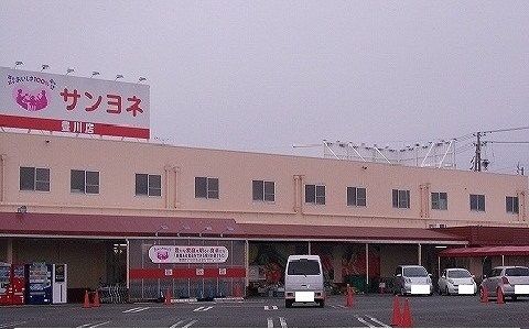 近くのサンヨネ豊川店まで600m（徒歩8分）