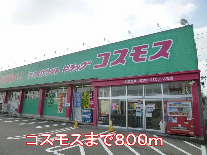 近くのコスモスまで800m（徒歩10分）