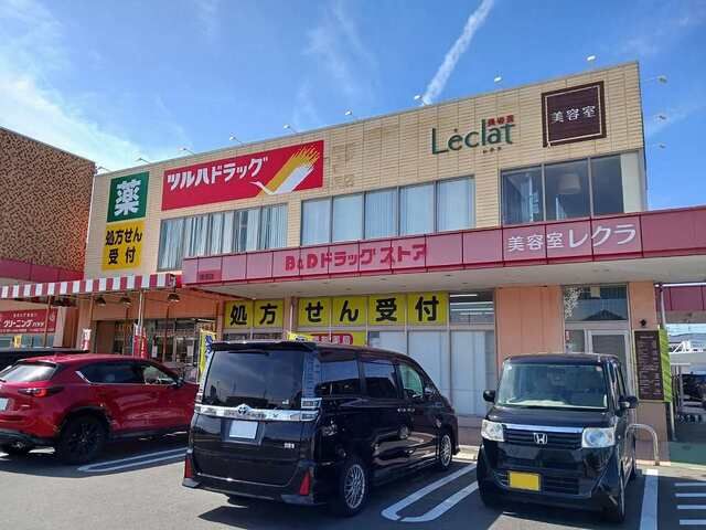 近くのツルハドラッグまで650m(徒歩9分)
