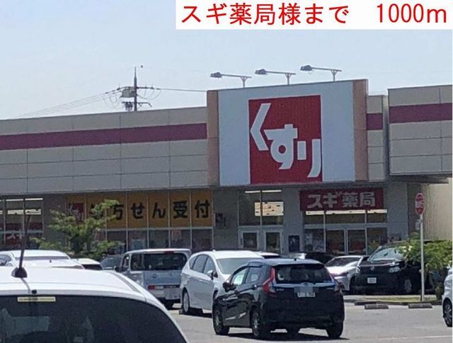近くのスギ薬局まで1,000m（徒歩13分）