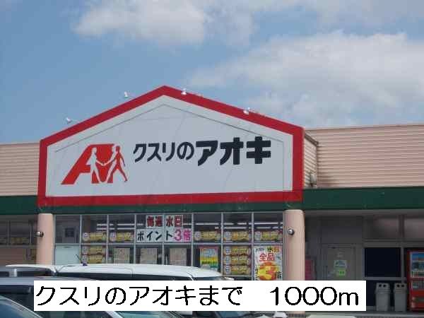 近くのクスリのアオキまで1,000m(徒歩13分)