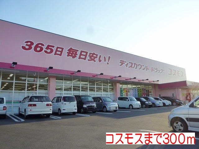 近くのコスモスまで300m（徒歩4分）