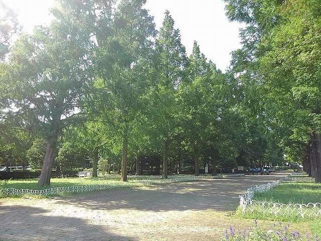 近くのそうか公園まで450m（徒歩6分）