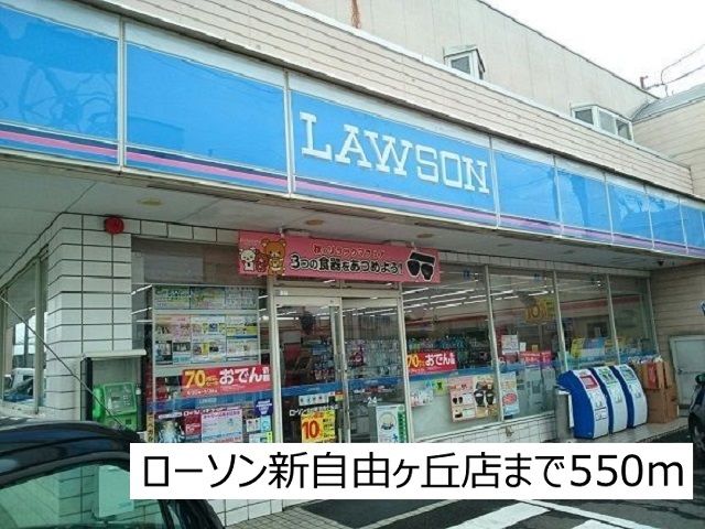 近くのローソン新自由ヶ丘店まで550m(徒歩7分)