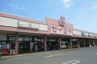 近くのセイミヤ 成田芝山店まで750m（徒歩10分）