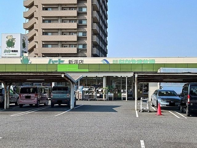 近くのハート新涯店まで2,600m(徒歩33分)