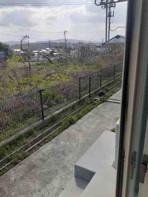 庭