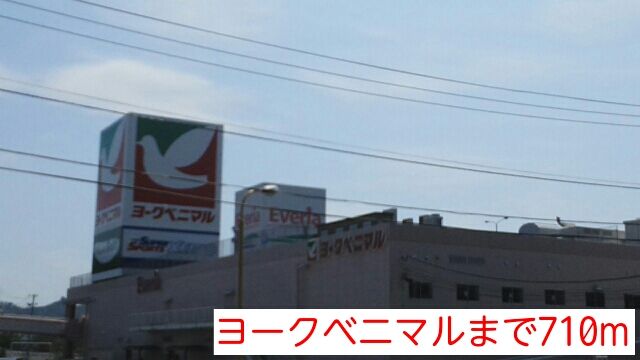 近くのヨークベニマルまで710m(徒歩9分)