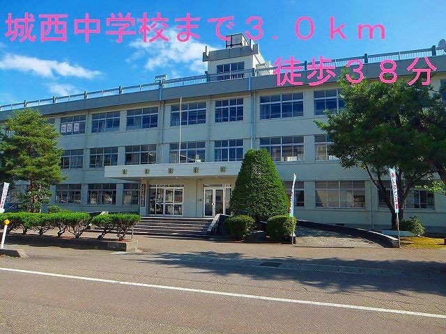 近くの城西中学校まで3,000m（徒歩38分）