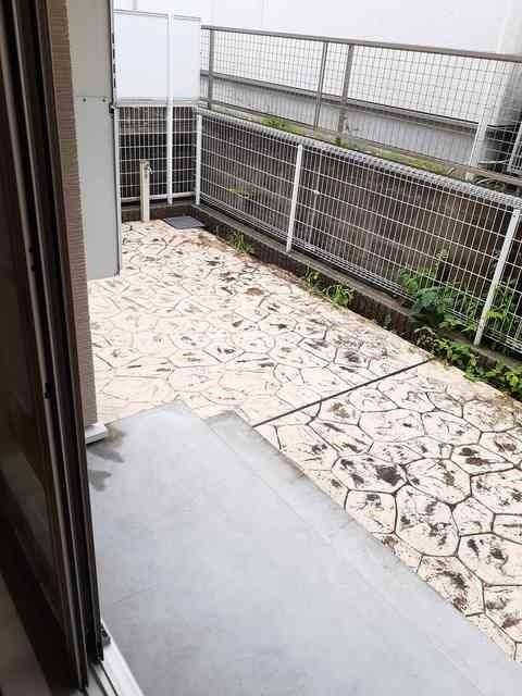 庭