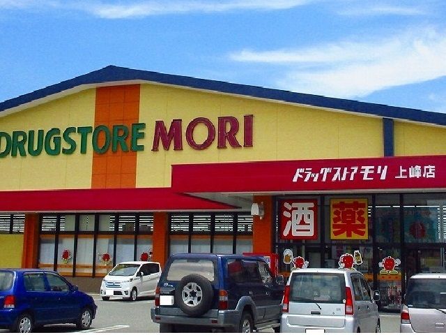 近くのドラッグストアモリ上峰店まで2,000m（徒歩25分）