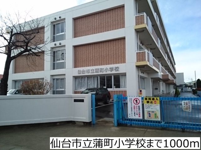 近くの仙台市立蒲町小学校まで1,000m(徒歩13分)