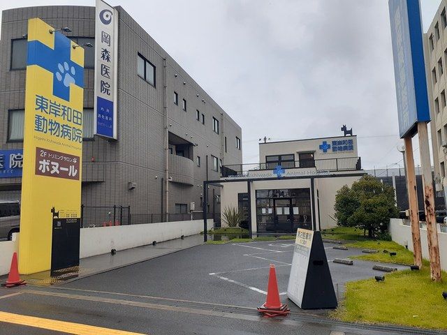 近くの東岸和田動物病院様まで1,243m（徒歩16分）