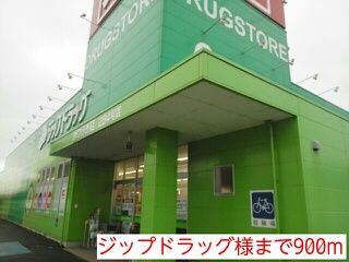 近くのジップドラッグ様まで900m（徒歩12分）