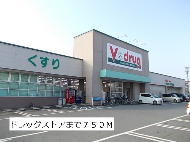 近くのVドラッグまで750m（徒歩10分）