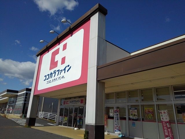 近くのココカラファイン住吉店まで750m（徒歩10分）