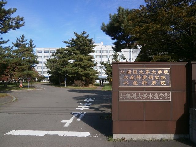 近くの北海道大学 水産学部まで1,500m（徒歩19分）
