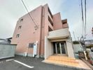 カモミールの外観