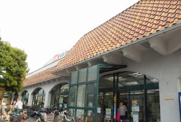 近くの国分寺駅まで1,300m(徒歩17分)