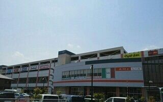 近くのアメリアまで480m（徒歩6分）