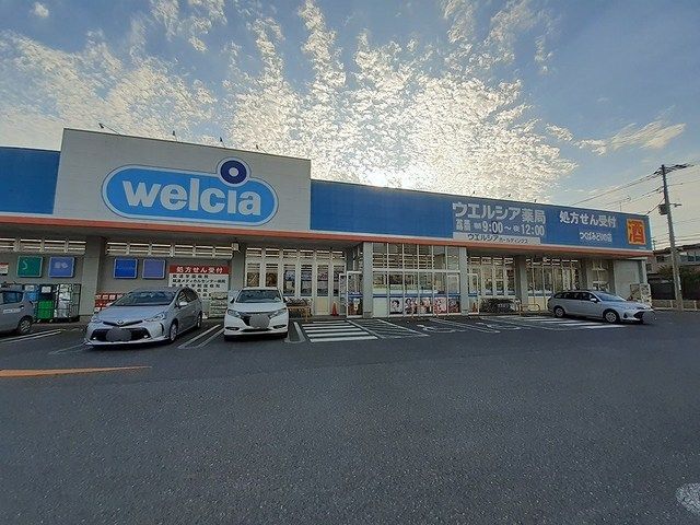 近くのウエルシア薬局つくばみどりの店まで1,700m（徒歩22分）