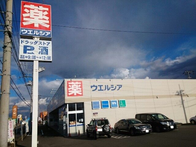 近くのウエルシア安中郷原店まで450m(徒歩6分)