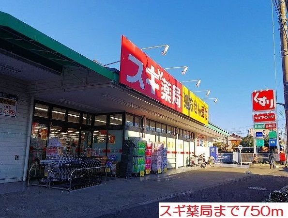 近くのスギ薬局まで750m（徒歩10分）