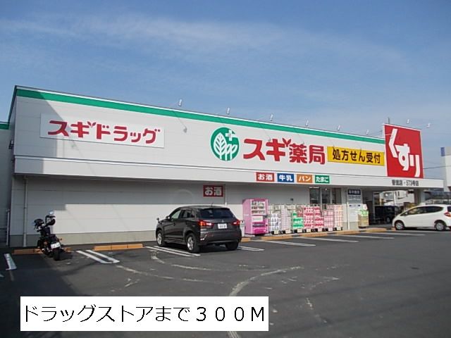 近くのスギ薬局まで300m（徒歩4分）